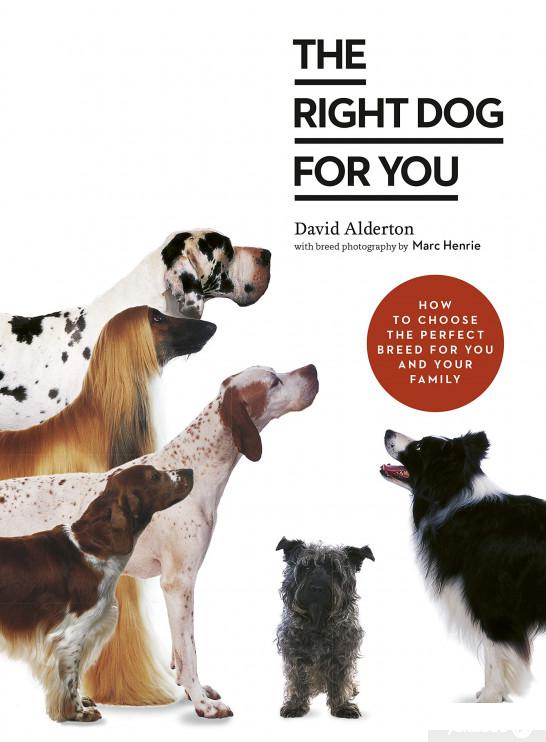 

Книга The Right Dog for You. How to choose the perfect breed for you and your family (1273459)
