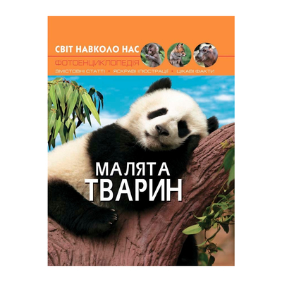 

Книга «Мир вокруг нас Детеныши животных» (10-544735)
