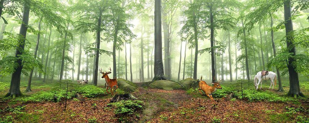 

Фотообои Арт-Обои Животные в лесу №45387 Аква