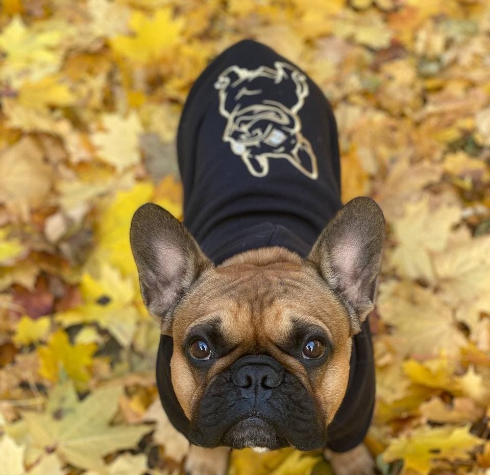 

Худи для собак DogClub Frenchdog XL Black