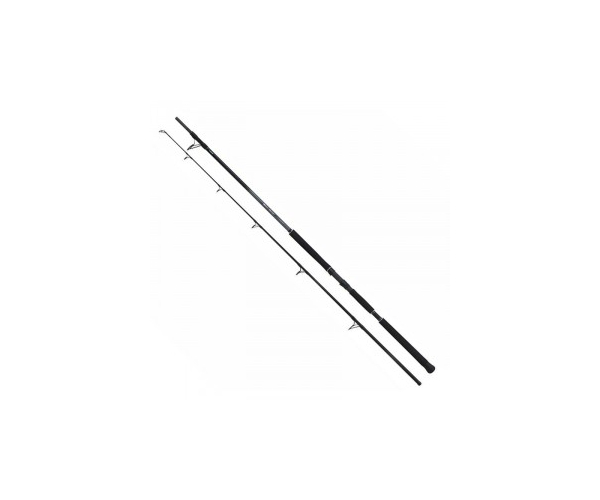 

Спиннинг Shimano BeastMaster Catfish Static 3.20м 450г (E) (арт.40402080004)
