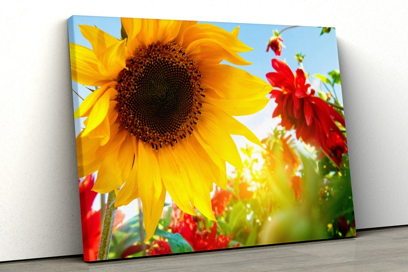 

Картина на холсте Георгины и подсолнух51x34 см (369)