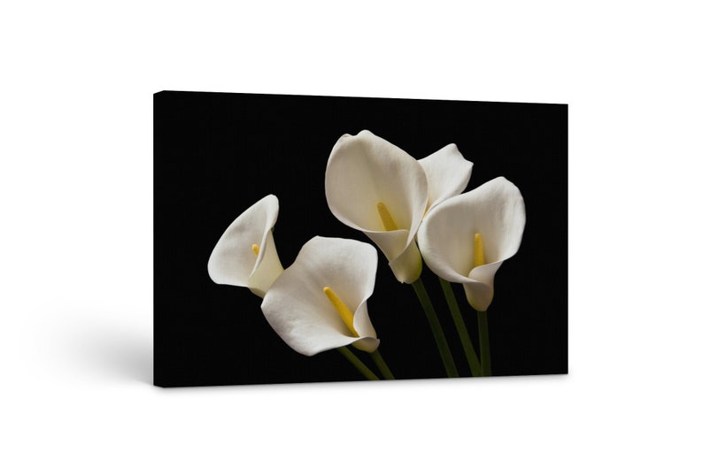 

Картина на холсте Белые калы51x34 см (333)