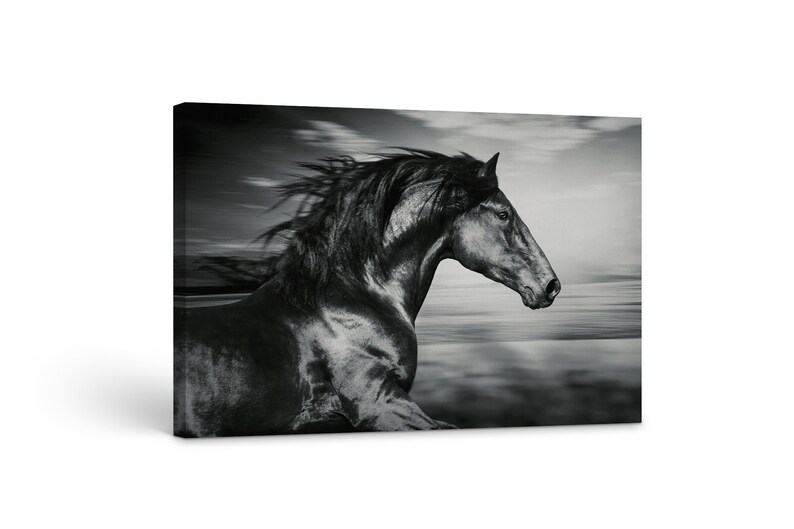 

Картина на холсте Бег коня51x34 см (104)