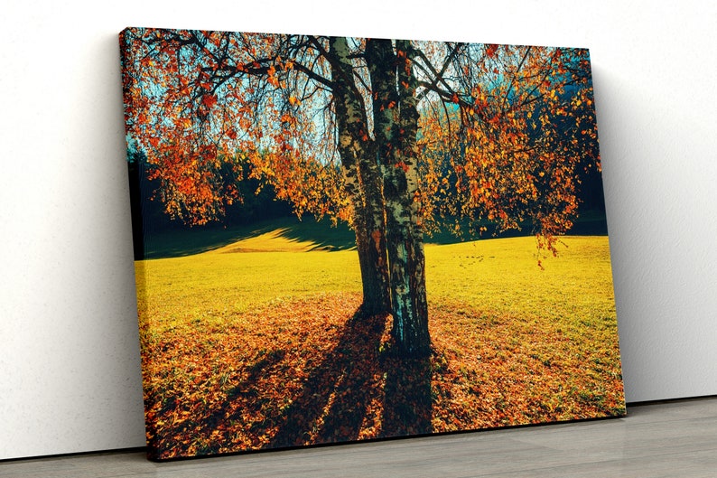 

Картина на холсте Осенние березы51x34 см (380)