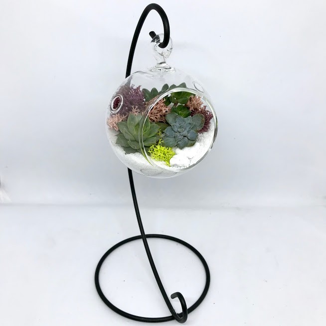 

Флорариум подвесной Garden mix Шарик