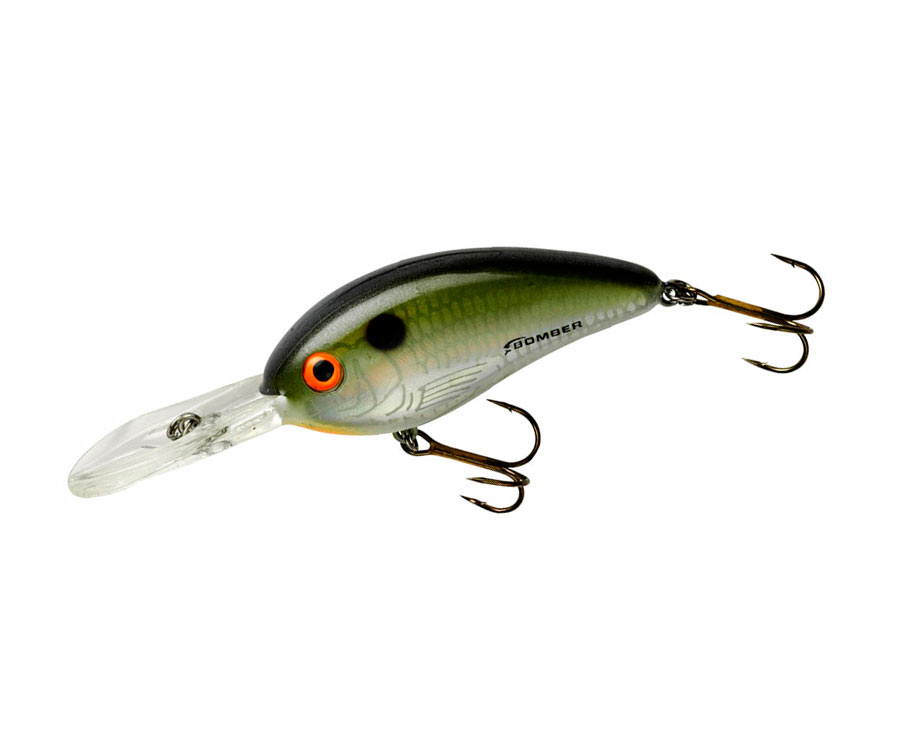 

Воблер BOMBER "Fat Free Shad" BD6F 6,1cm 14gr float 2,4-4,2m DTS (10243)