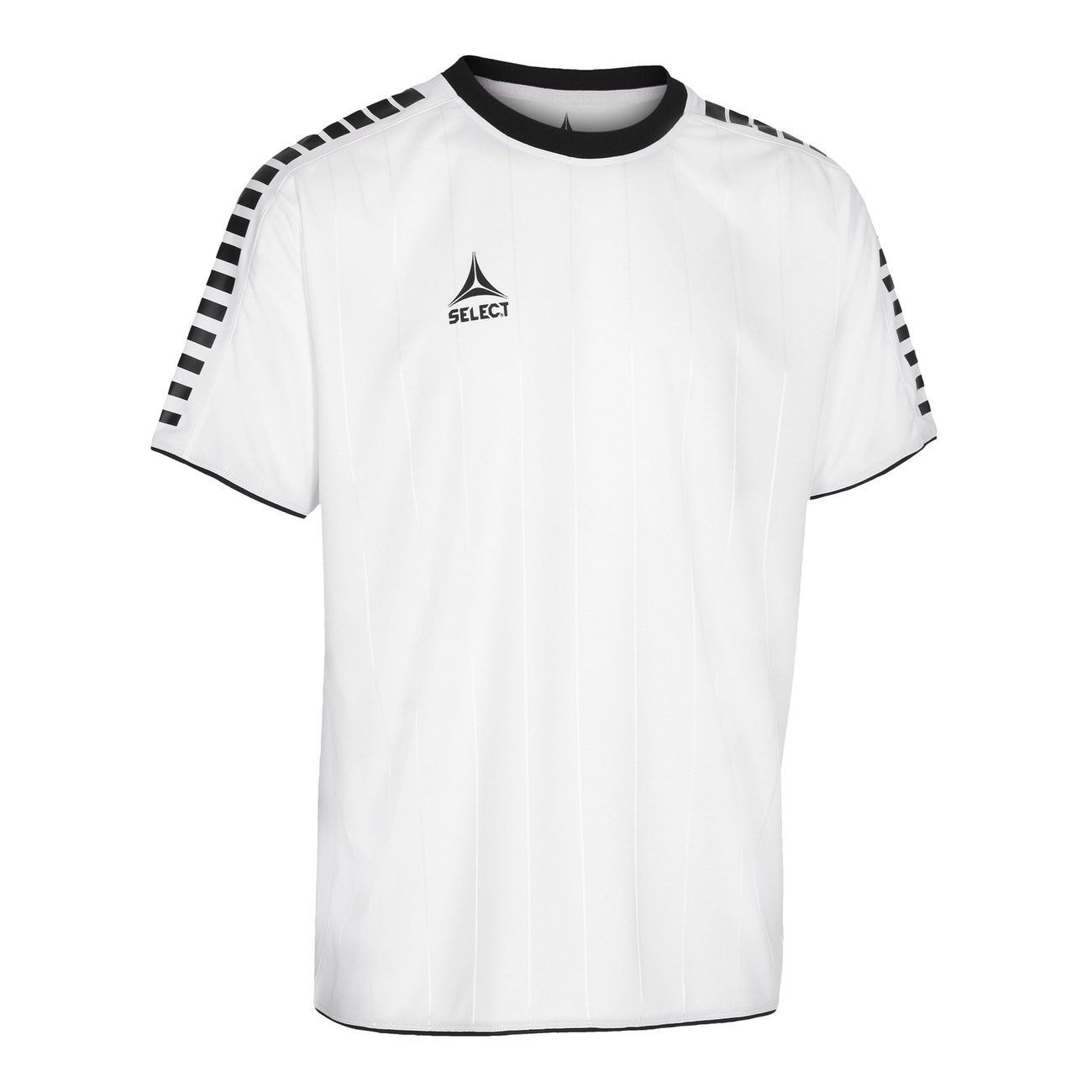 

Футболка Select Argentina player shirt бело-черная M 622500-013