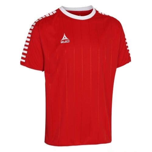 

Футболка Select Argentina player shirt красная L 622500-003