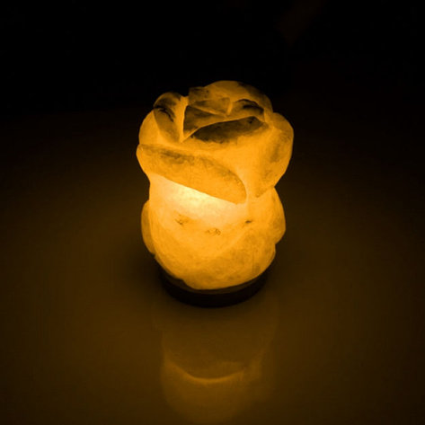 

Соляная лампа SALTKEY ROSE