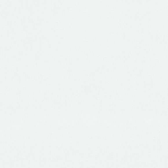 

Обои флизелиновая erismann gmk ii fashion for walls 12035-01 однотонные белый Германия