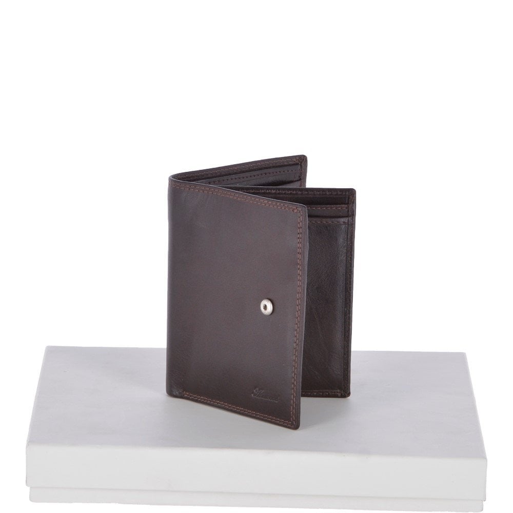 

Кошелек мужской Ashwood 1246 VT Brn