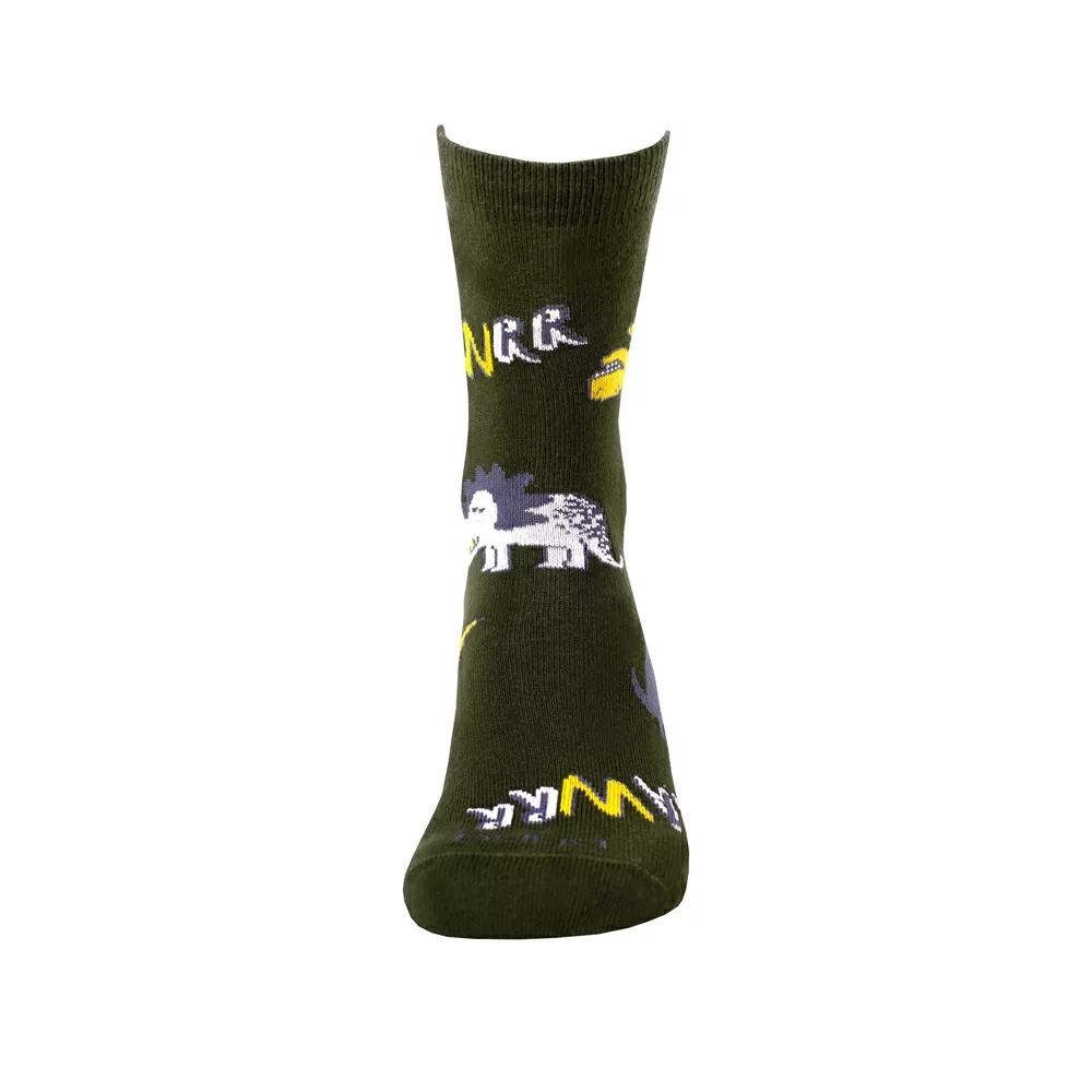

Дитячі шкарпетки DUNA 4268 - Хакі, Дитячі шкарпетки DUNA 4268 38-40 Хакі