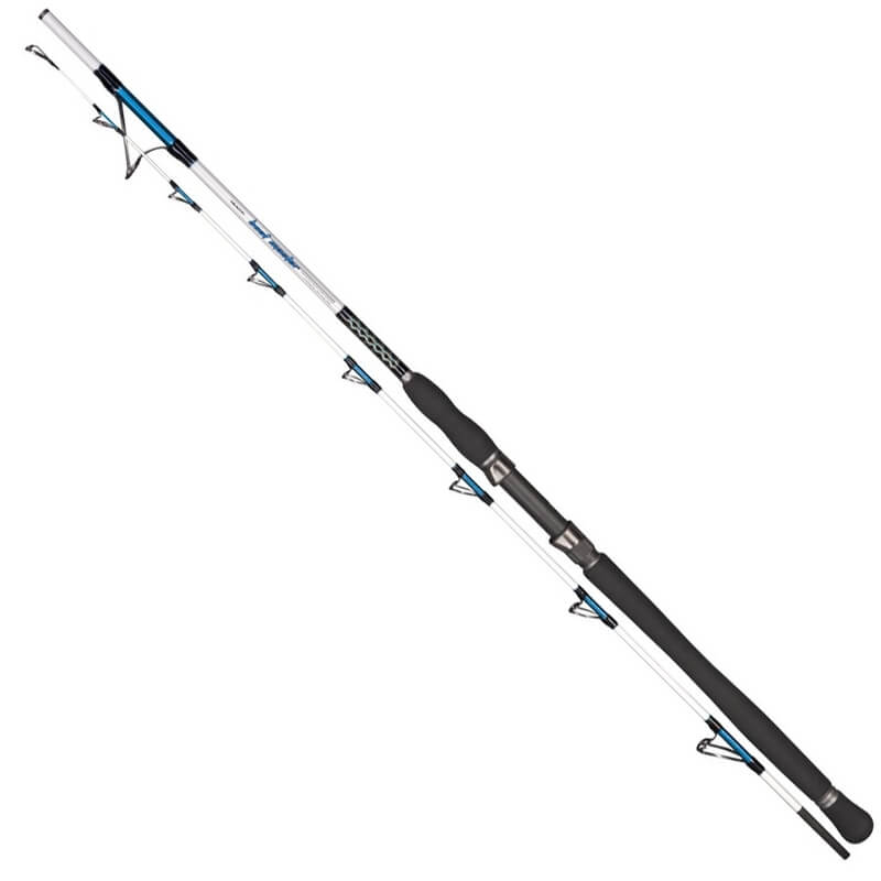 

Удилище Dragon Boat Master Jig 2.00m (CHC-24-70-200)