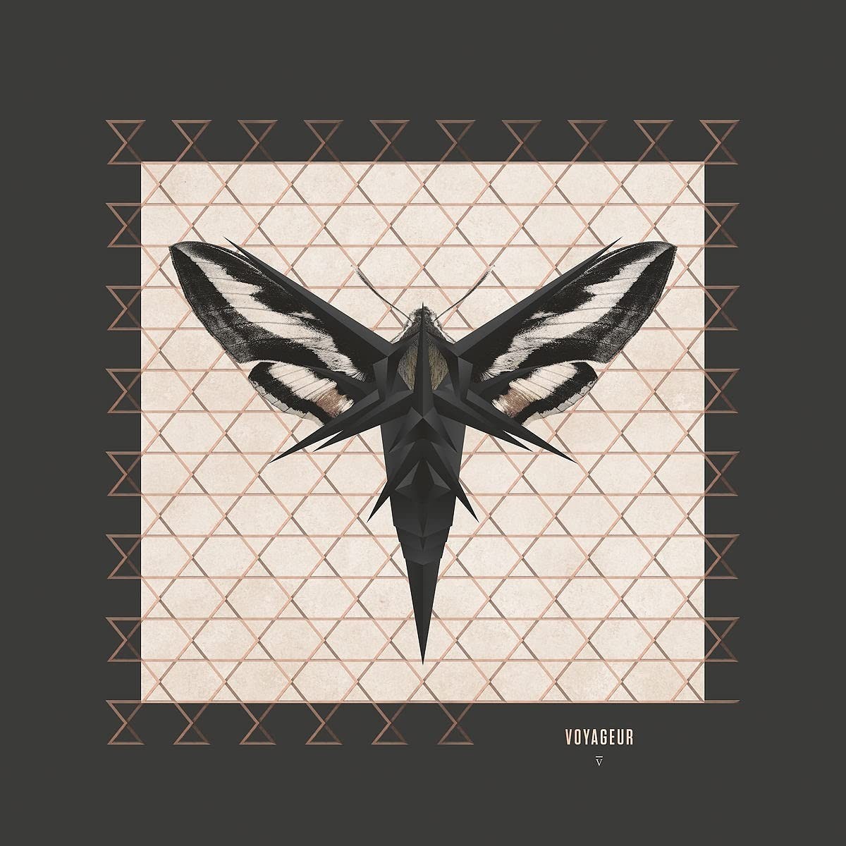 

ENIGMA – Voyageur