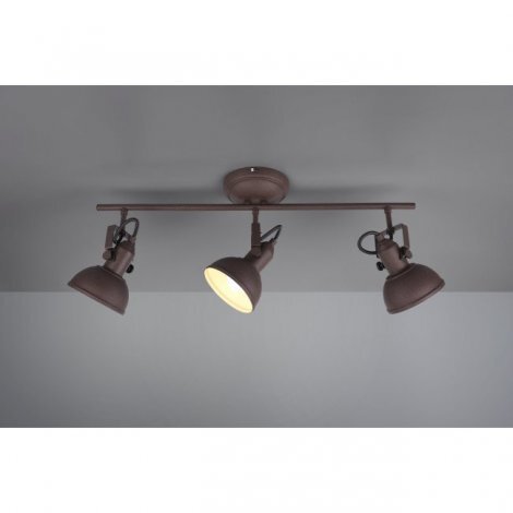 

Потолочный спот Trio R80153024 Gina