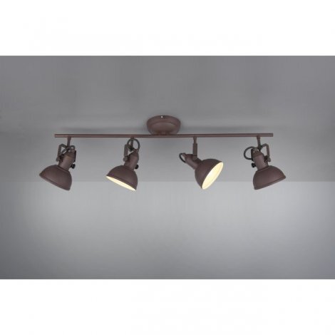 

Потолочный спот Trio R80154024 Gina