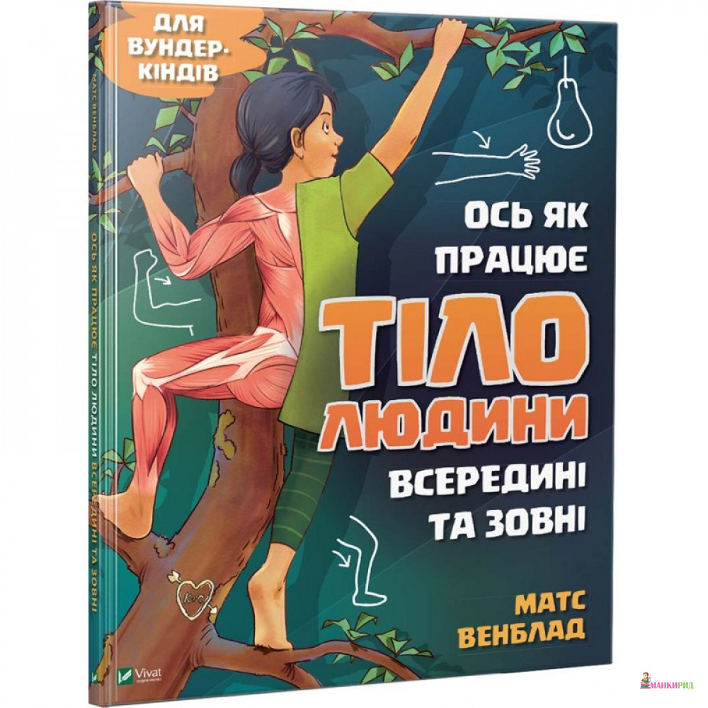 

Ось як працює тіло людини всередині та зовні - Матс Венблад - Виват - 765993
