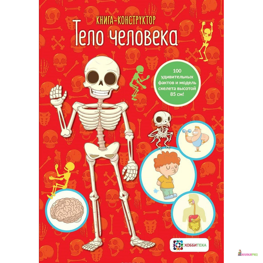 

Тело человека - Хоббитека - 761122
