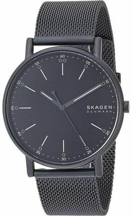 

Мужские наручные часы Skagen SKW6579