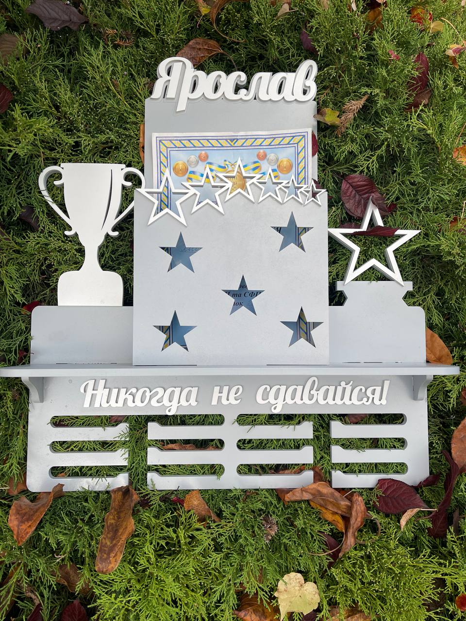 

Медальница For Me And You универсальная