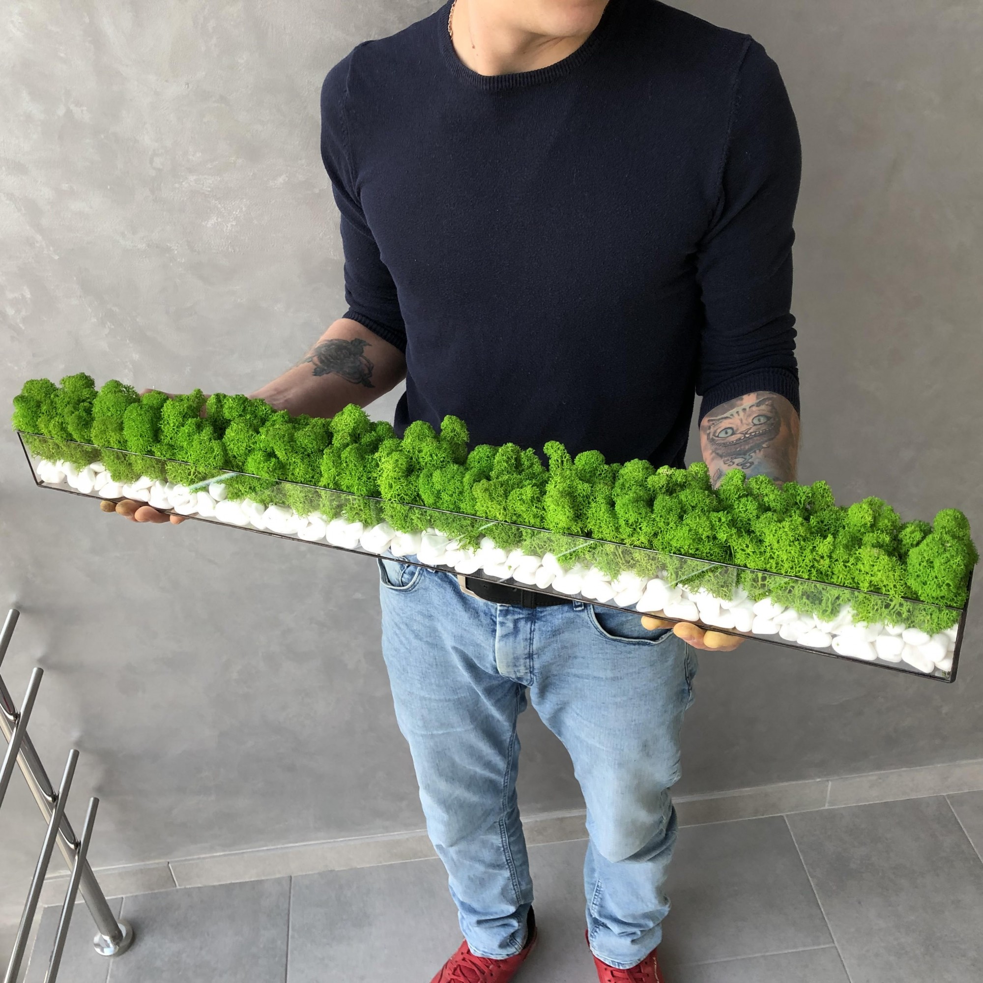 

Моссариум MiNature Moss со стабилизированым мхом 1м