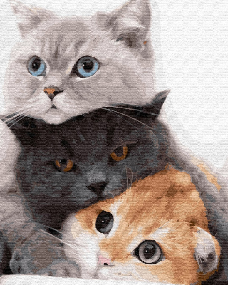 

Картина по номерам Brushme "Котики - муркотики" GX34826
