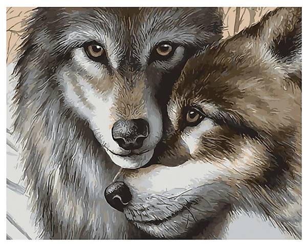 

Набор для росписи по номерам SY6053 "Волчья любовь" 40х50 см STRATEG (SY6053)