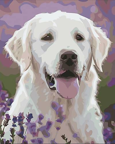 

Набор для росписи SY6116 "Лабрадор в цветочном поле" 40х50 см STRATEG (SY6116)