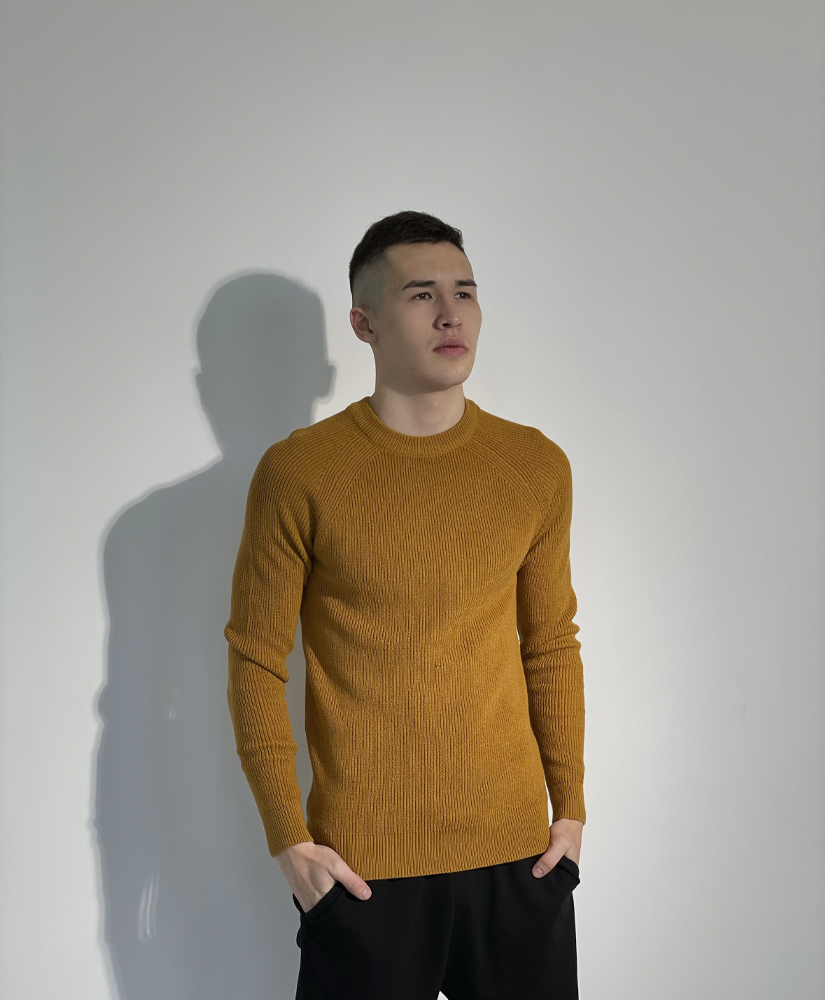 

Джемпер Primark 37907  Гірчичний, Джемпер Primark 37907 L Гірчичний