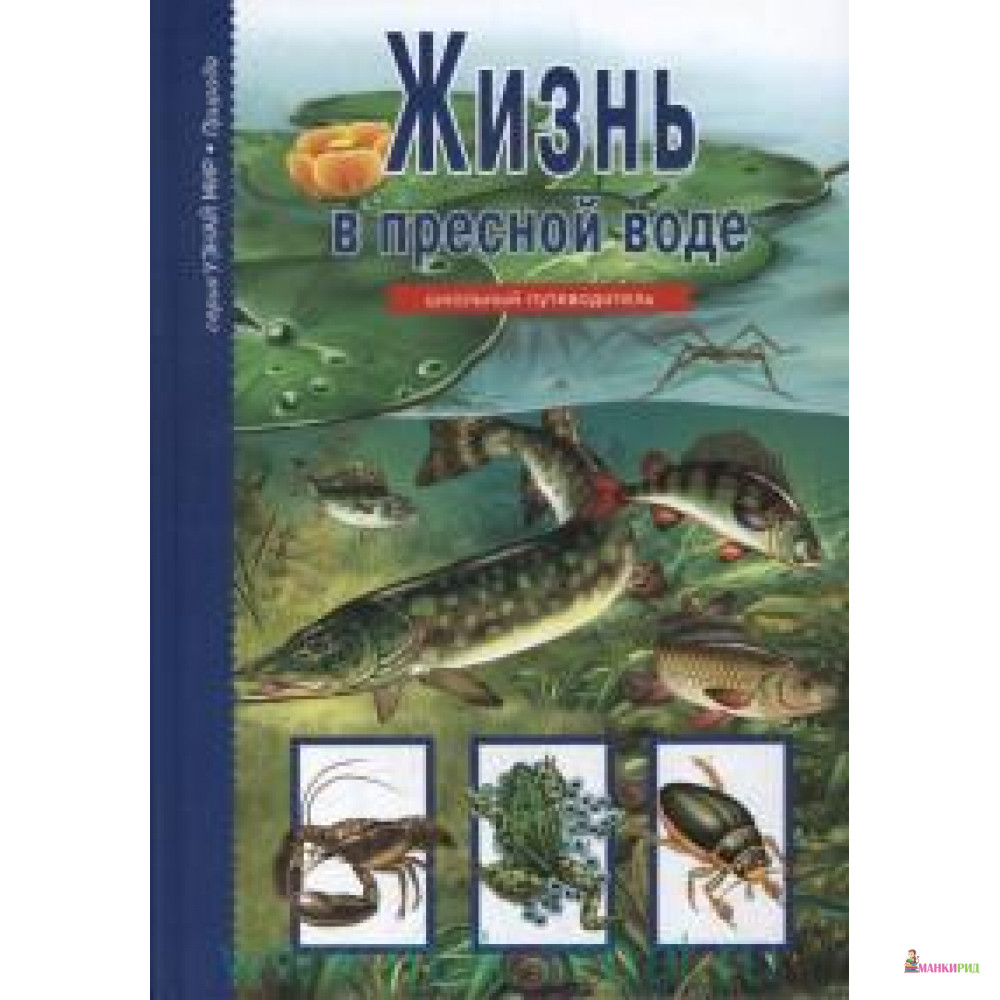 

Город рыцарей. Книжка-игрушка - Филип Стил - Тимошка - 334092