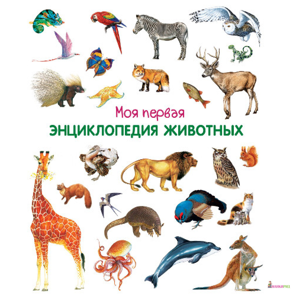 

Моя первая энциклопедия животных - Омега - 727236