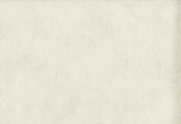 

Обои AS Creation светло-бежевый цвет, имитация фактурной штукатурки, 106см*1 000см As37381-2