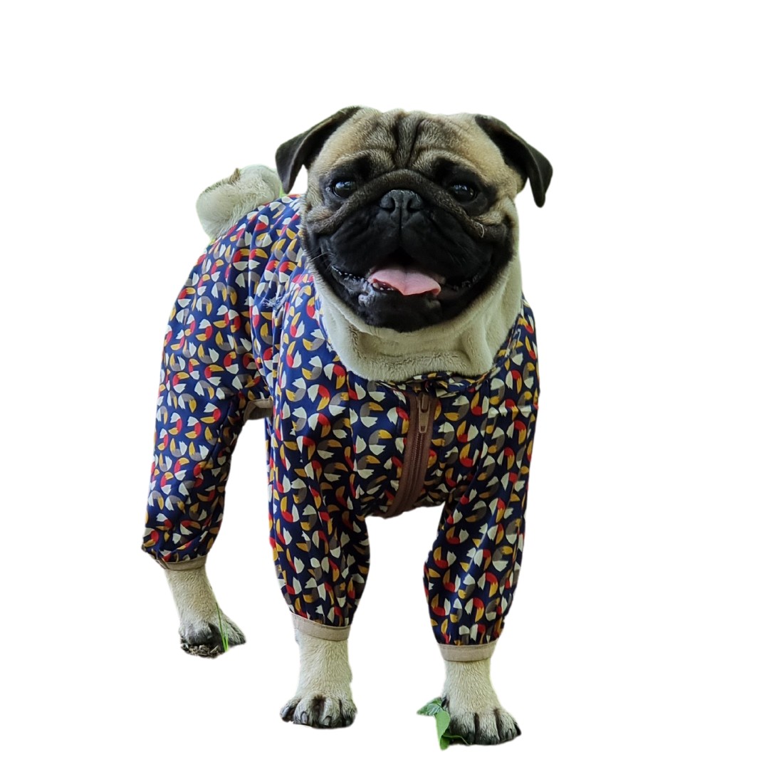 

Комбинезон Сатиновый Hakuna Matata Для Собак Разноцветный M