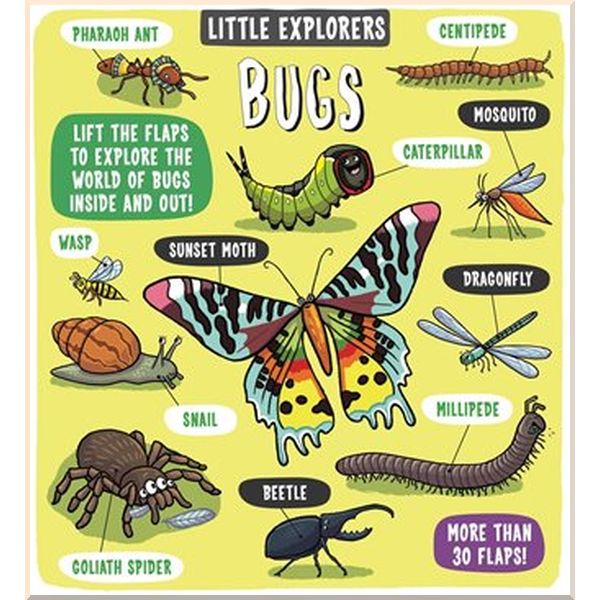 

Templar Little Explorers: Bugs. Ruth Martin, Allan Sanders. ISBN:9781783708659