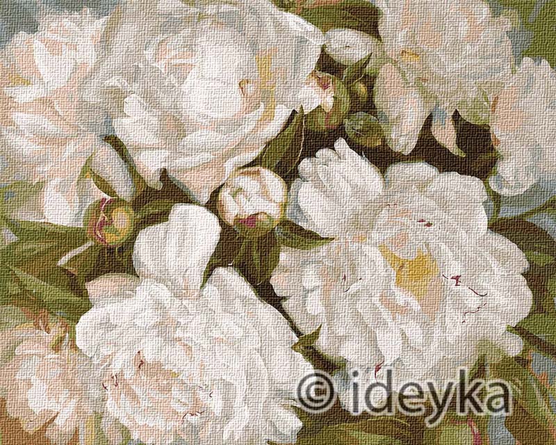 

Картина по номерам Идейка Белоснежная красота, 40 х 50 см (KH2985)