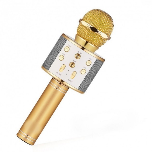 

Беспроводной караоке микрофон с динамиком WSTER Bluetooth USB WS-858 в чехле Gold (WS858G)