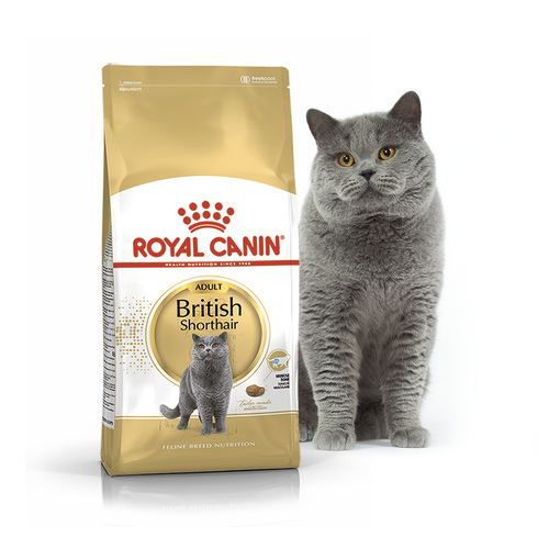 

Сухой корм Royal Canin для взрослых кошек породы Британская короткошерстная Breed British Shorthair adult 4 кг BGL-RC-465