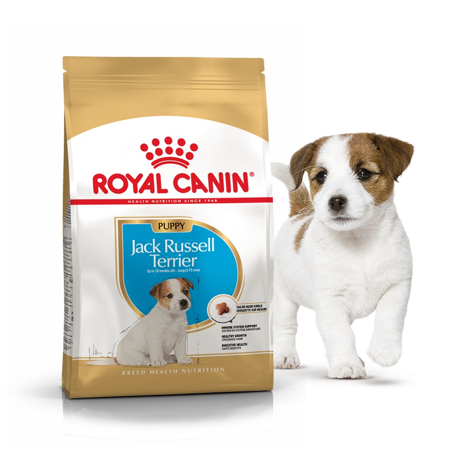 

Сухой корм Royal Canin для щенков джек-рассел-терьер Breed Jack Russel junior 3 кг BGL-RC-237