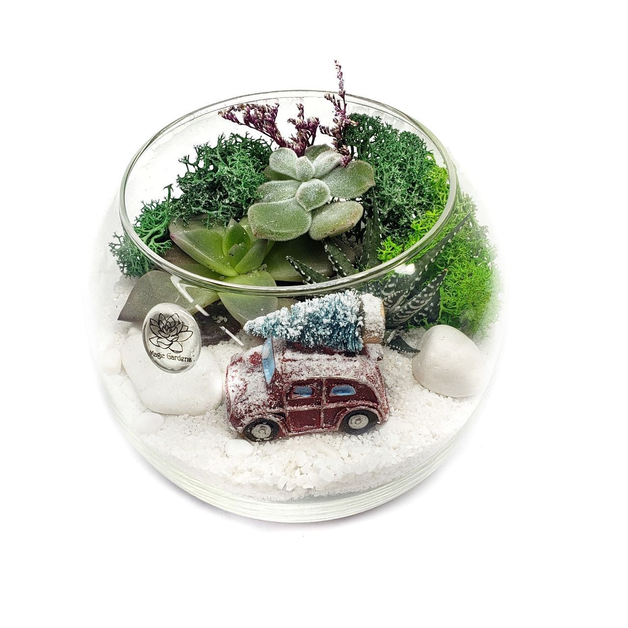 

Новогодний Флорариум со снегом и суккулентами Magic Gardens «Машинка» 15 см