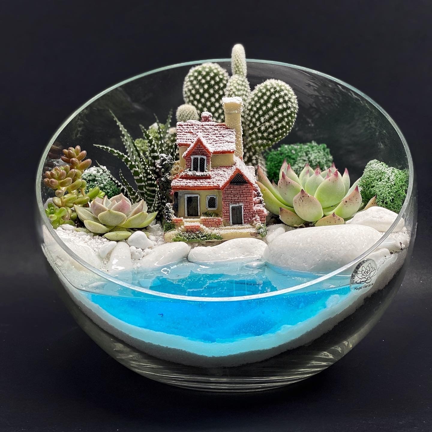 

Новогодний Флорариум Magic Gardensс суккулентами и имитацией водоёма "Дом у моря" 22*18см