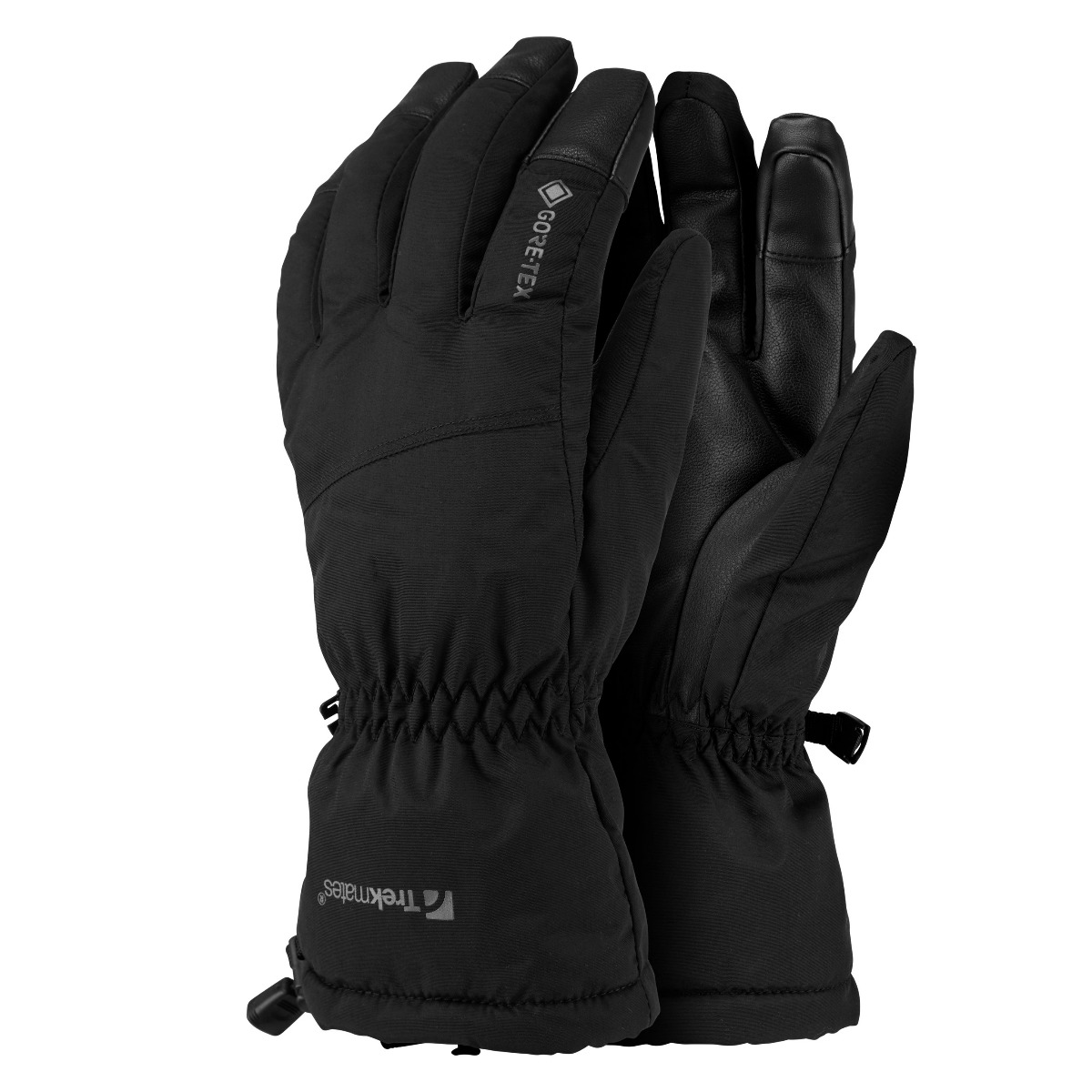 

Перчатки Trekmates Chamonix Gore-Tex Glove M черный А000010049