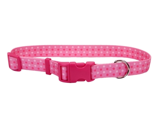 

Ошейник для собак Pet Attire Style дл. 35-50 см - ш. 2 см Coastal BGL-CS-276