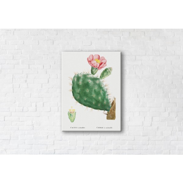 

Картина на холсте Cactus Pink 50x65см Franklin