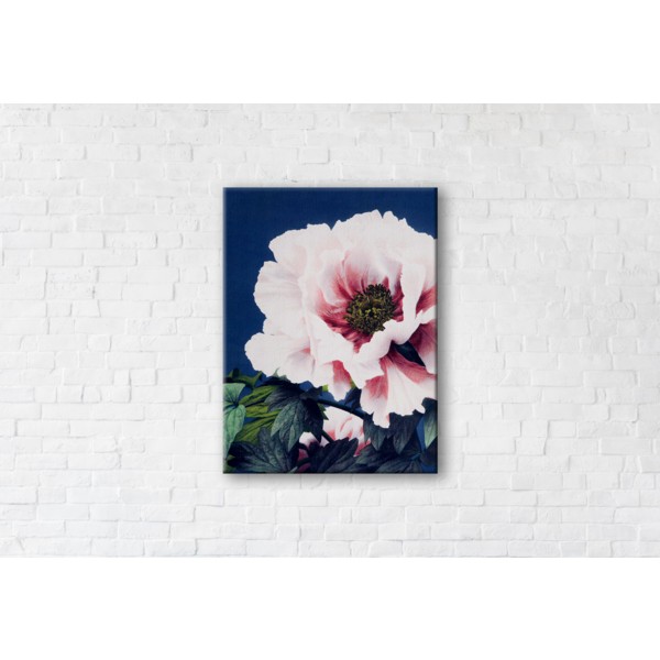 

Картина на холсте Poppy 50x65см Franklin