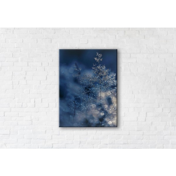 

Картина на холсте Nightfall 50x65см Franklin