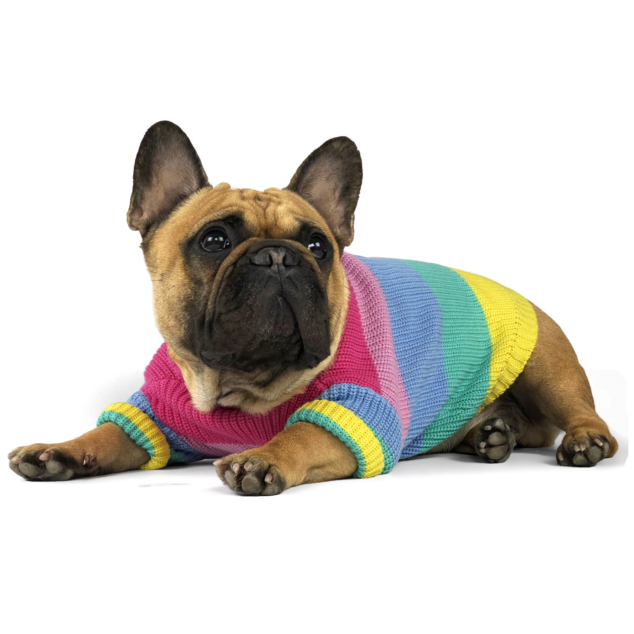

Свитер для собак DogClub Rainbow L Multicolor