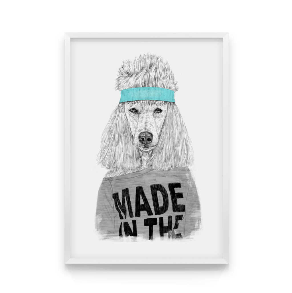 

Постер в рамке POODLE 40x50 см