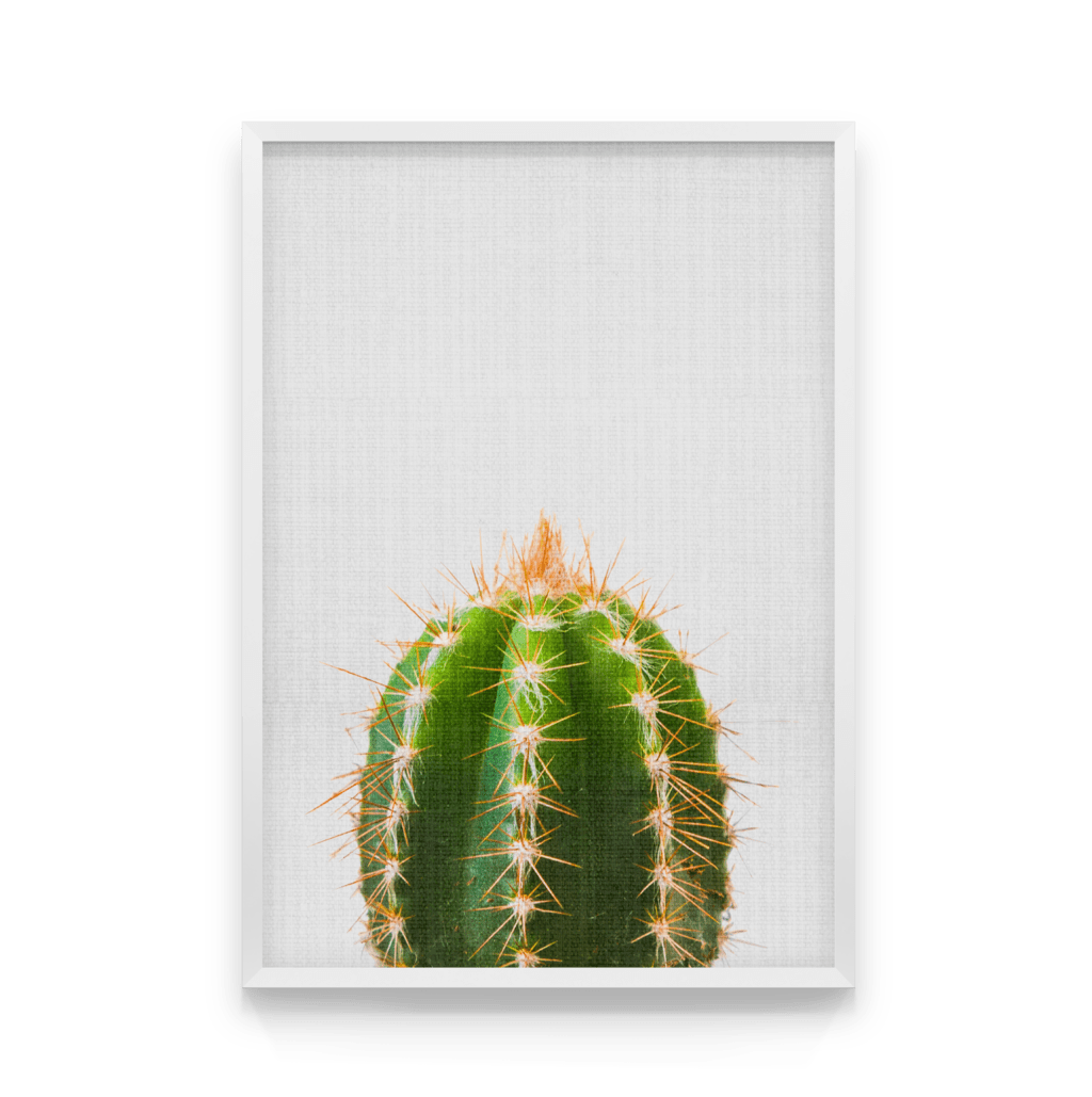 

Постер в рамке CACTUS 40x50 см