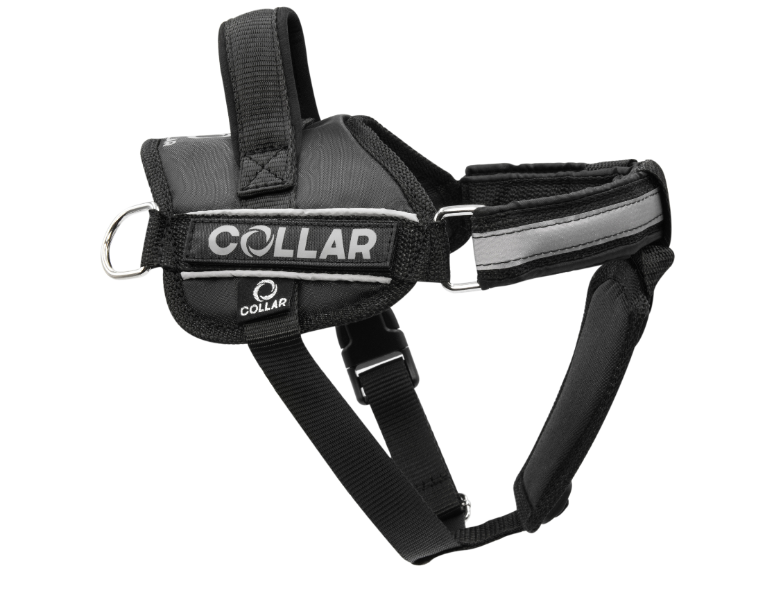 

Шлея для собак черная POLICE Dog Extreme COLLAR дл. 35-45 см CoLLar Dog Extremе BGL-WD-3423